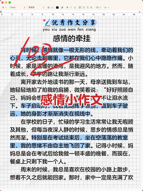 初中关于情感体验的作文