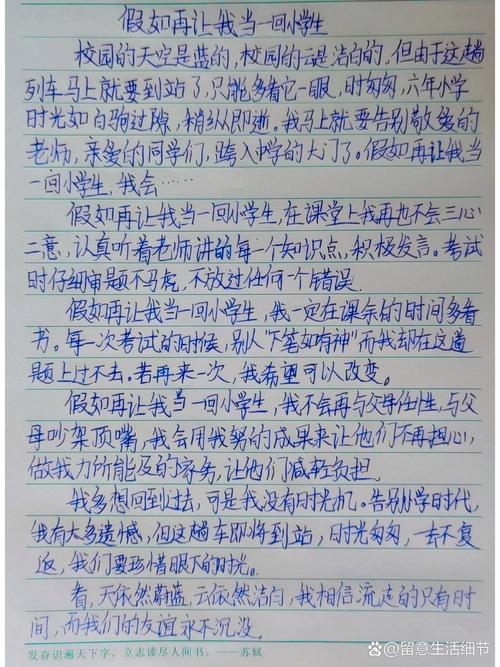 如果我能再做一回小学生