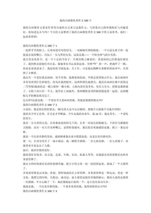 自画像初中作文500字