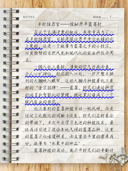 写乡村建议作文初中作文