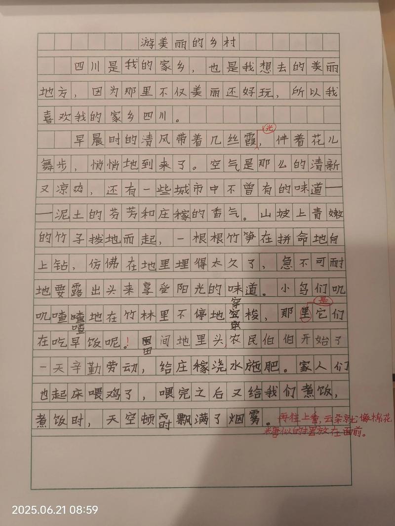 写乡村建议作文初中作文