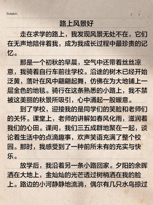 风景的路上600字初中