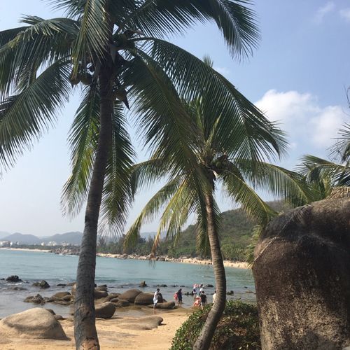 大海的声音400字初中