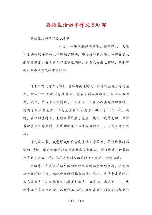 入初中感悟500字以上