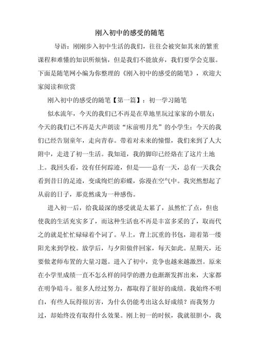 小学进入初中的感受作文
