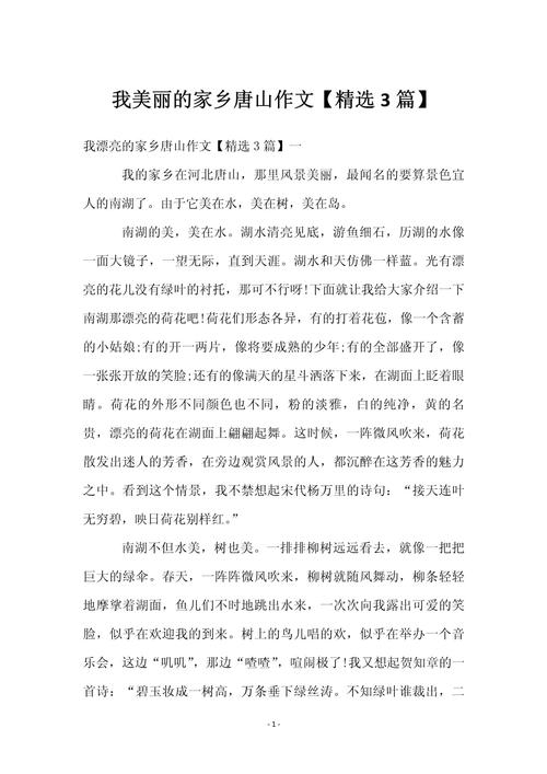 我美丽的家乡400初中