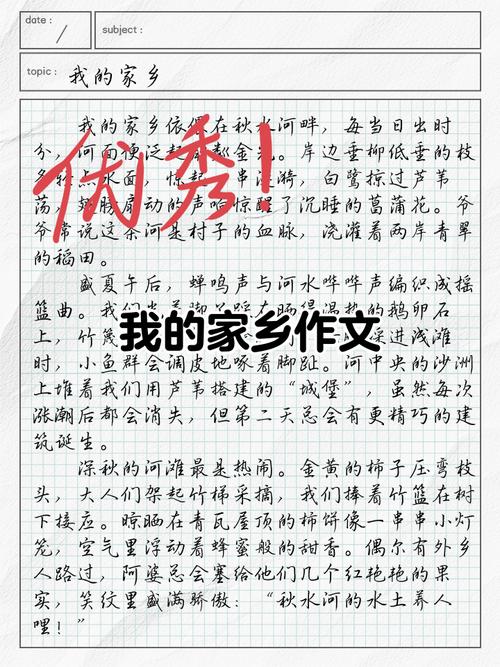 我美丽的家乡400初中