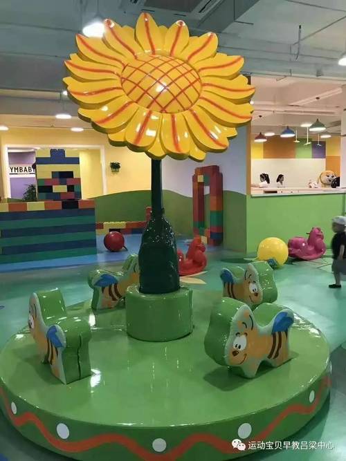 吕梁运动宝贝早教中心