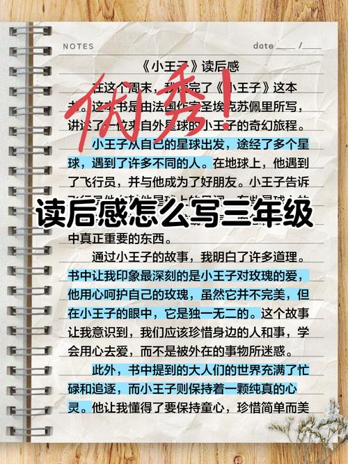 小学三年级读后感怎么写