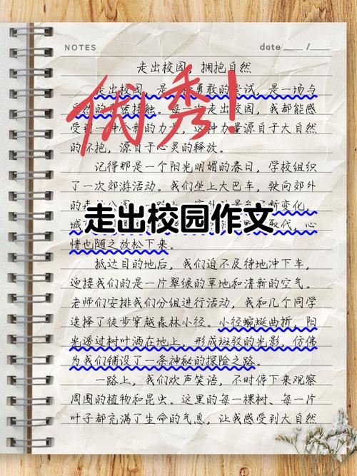 校园的风波600字初中