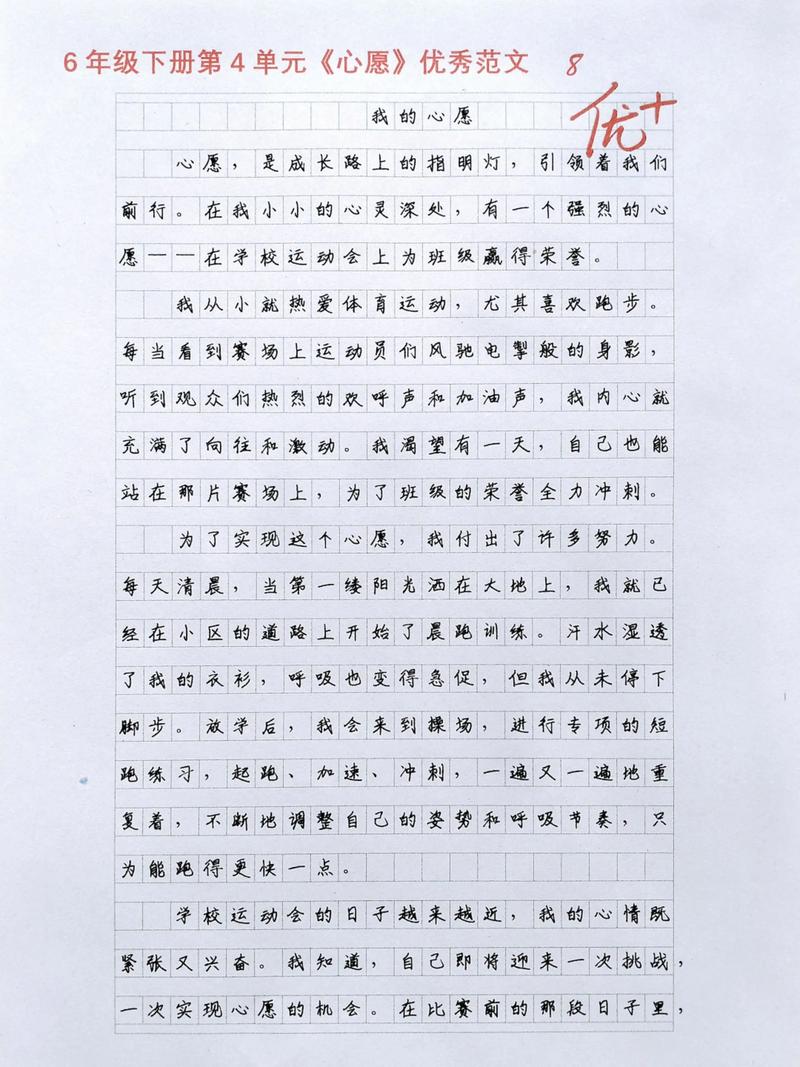 我的心愿作文650初中