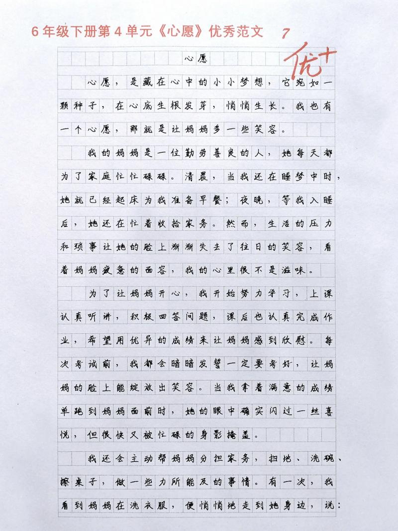 我的心愿作文650初中