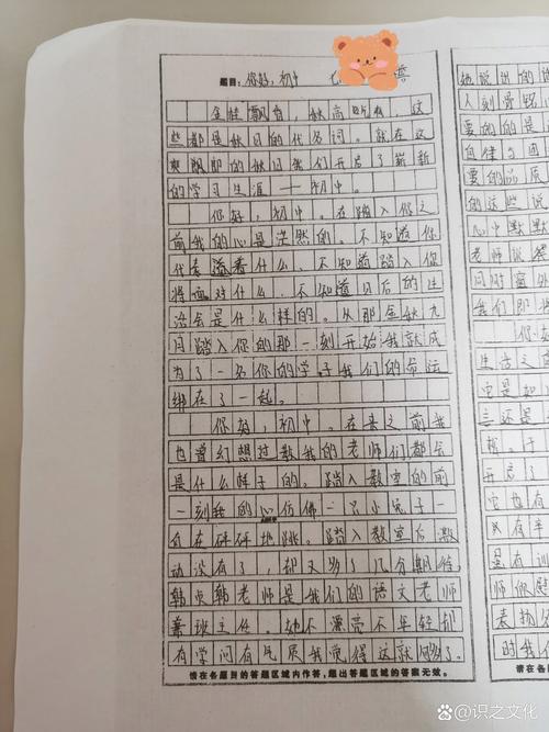 再见小学 你好初中日记