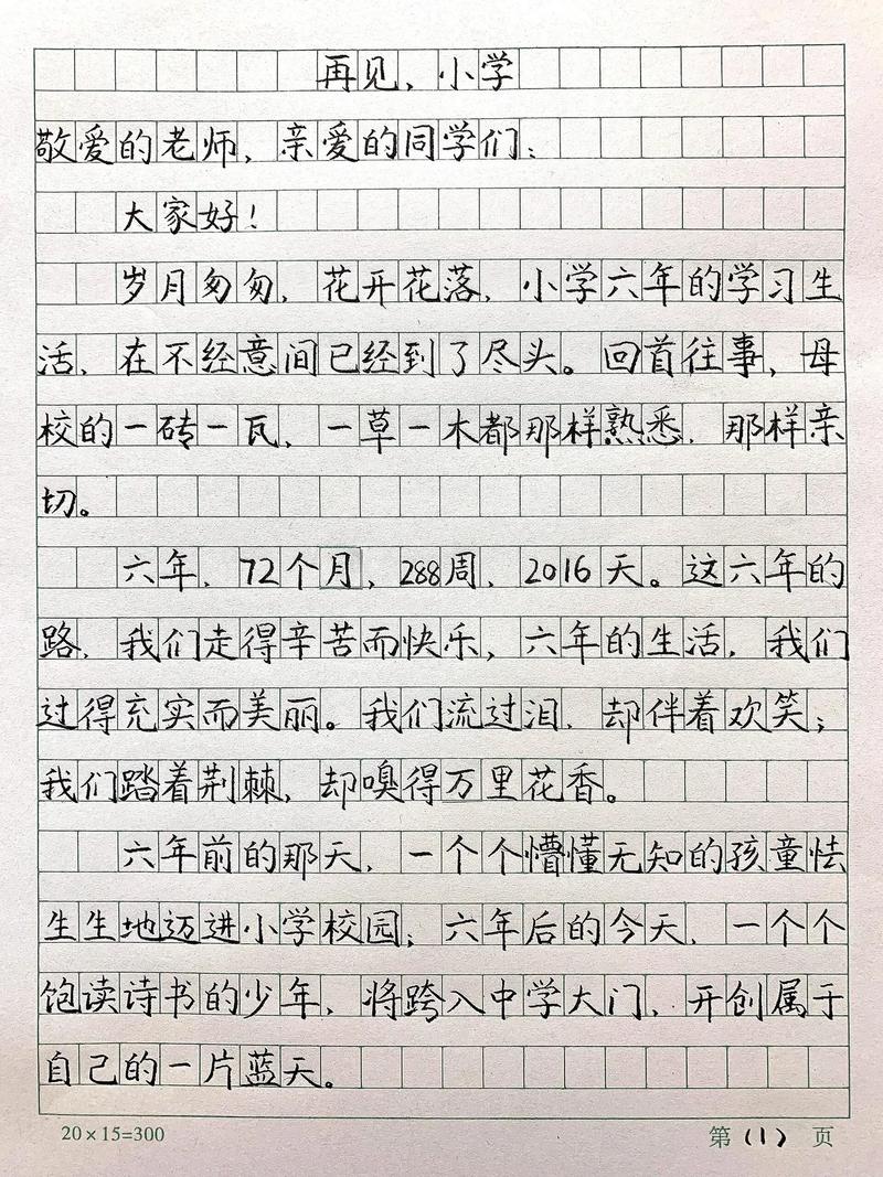 再见小学 你好初中日记