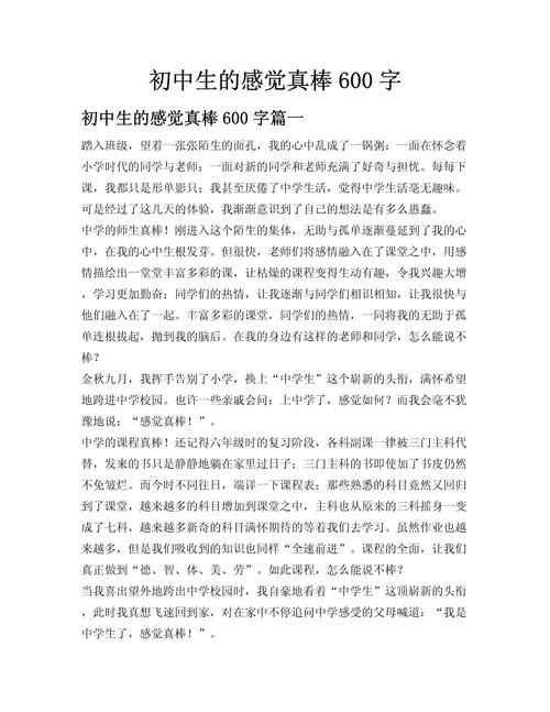 初中的感觉600字作文