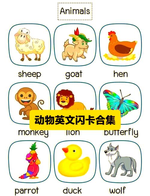 婴儿英语早教单词动物