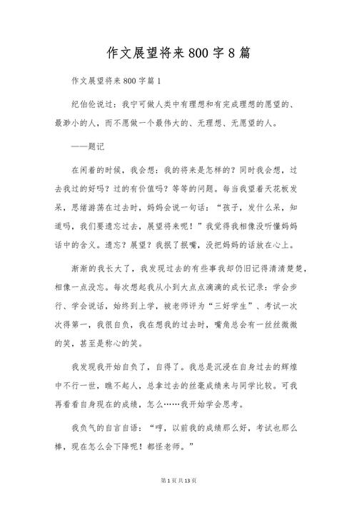 未来的初中作文800字