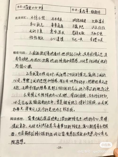 简爱读书笔记200初中