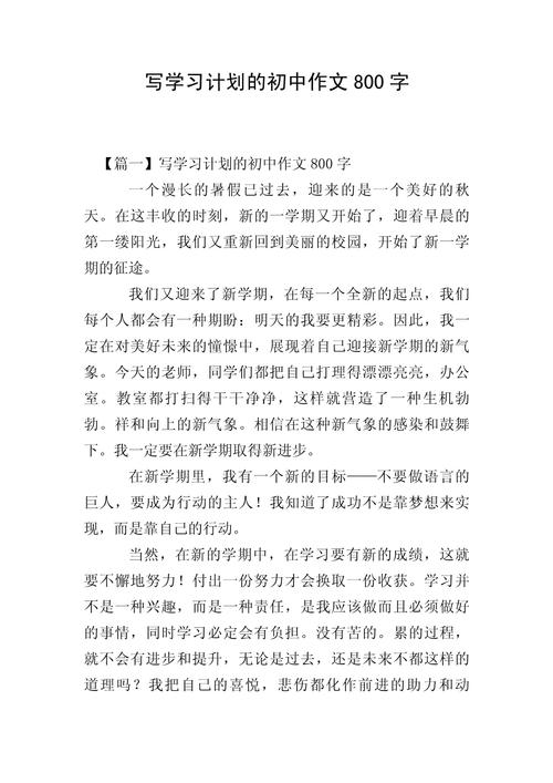 初中的规划作文700字