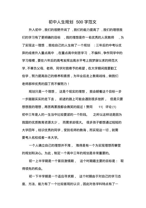 初中的规划作文700字