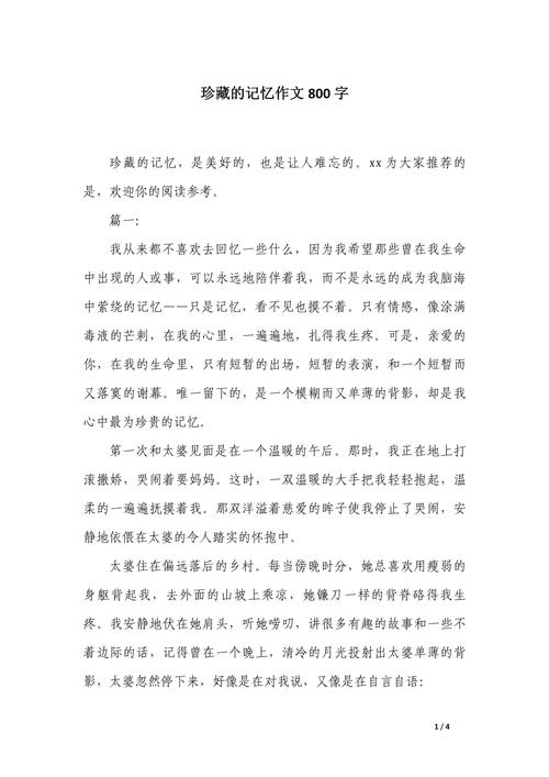 初中作文值得珍藏的记忆