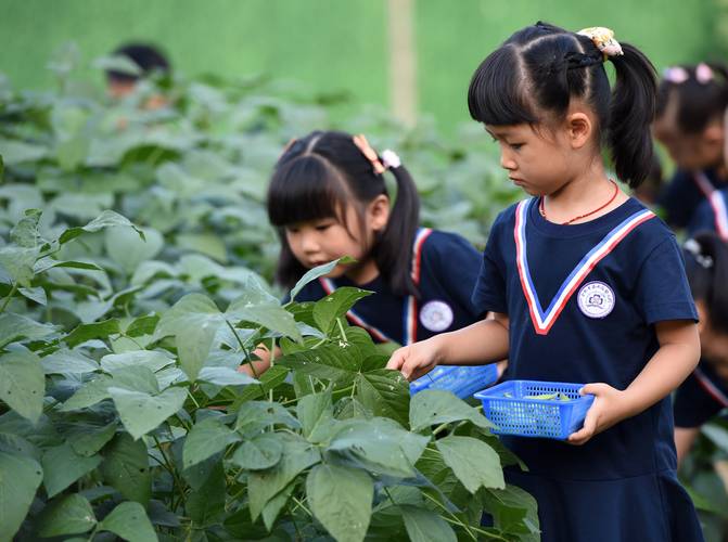 早教户外采摘主题活动