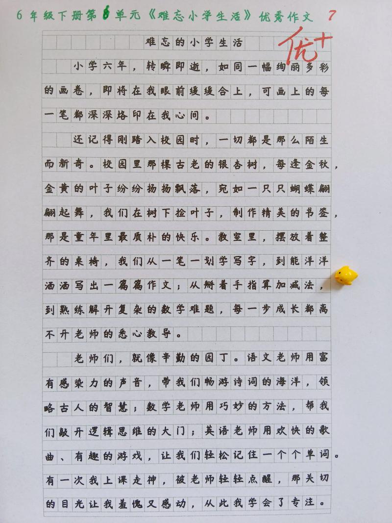 难忘的小学生活600字