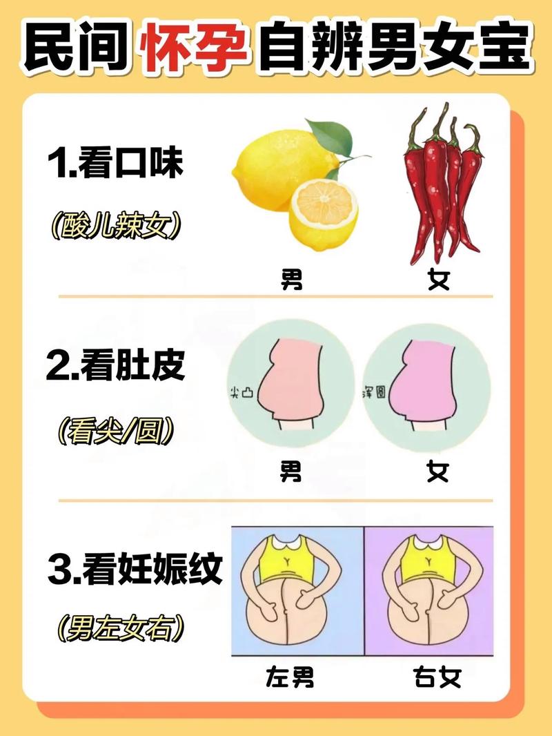 小孩不会区分男女早教