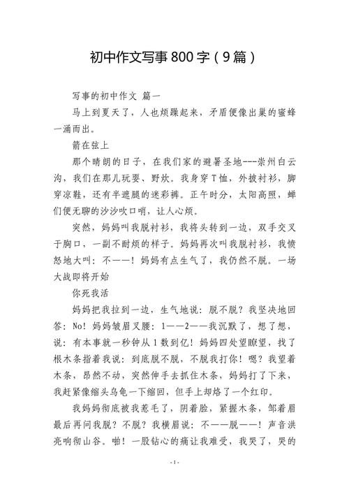 初中作文冬800字作文