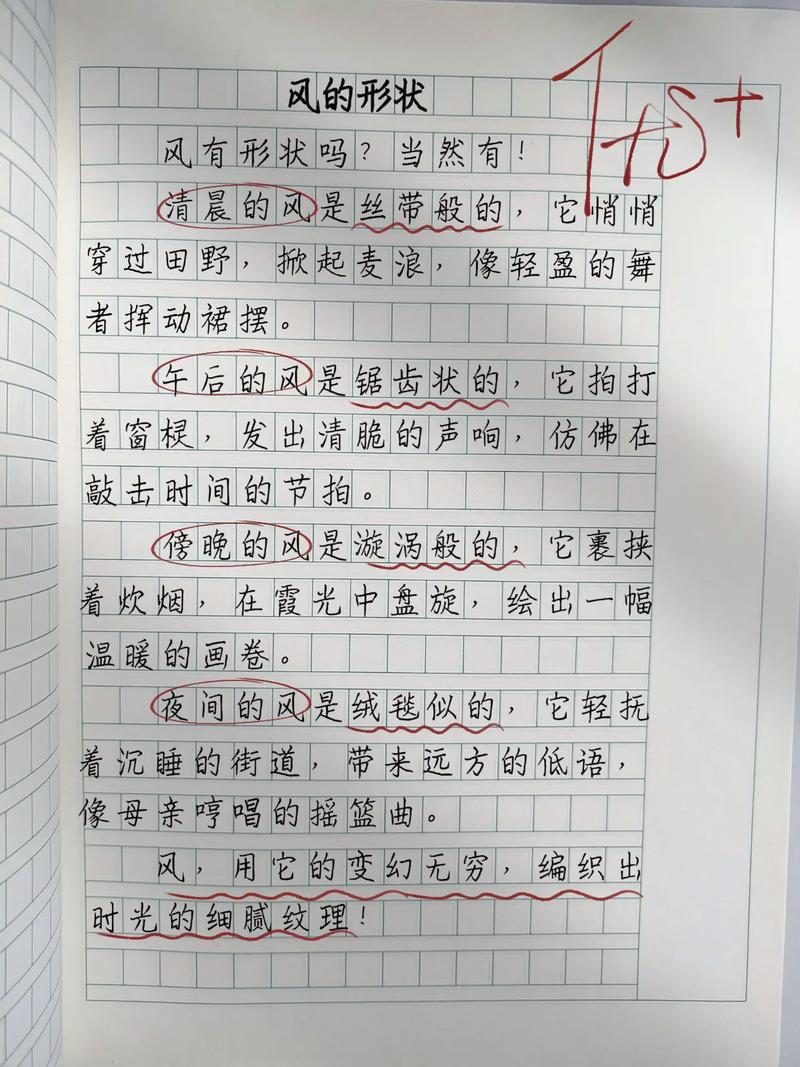 关于风的作文300初中