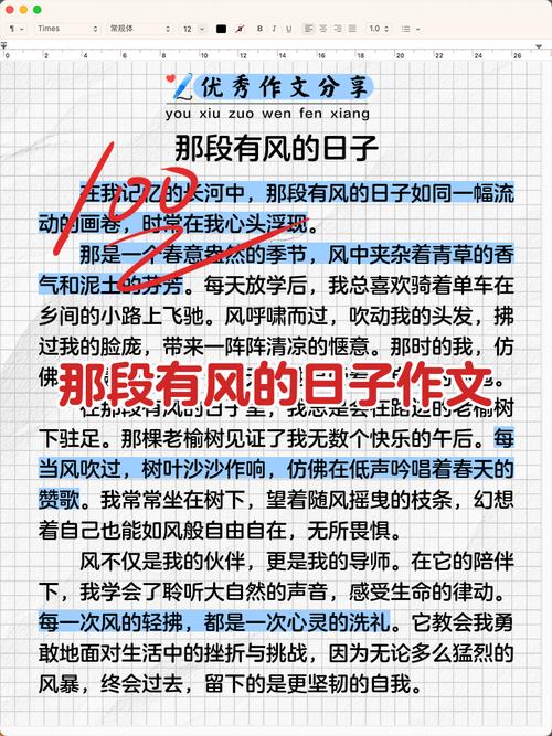 关于风的作文300初中