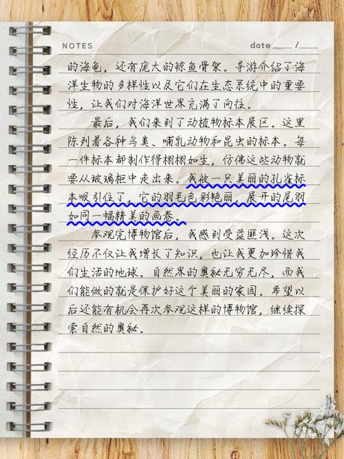 去初中参观作文600字