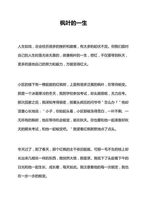 关于武汉枫叶初中的作文