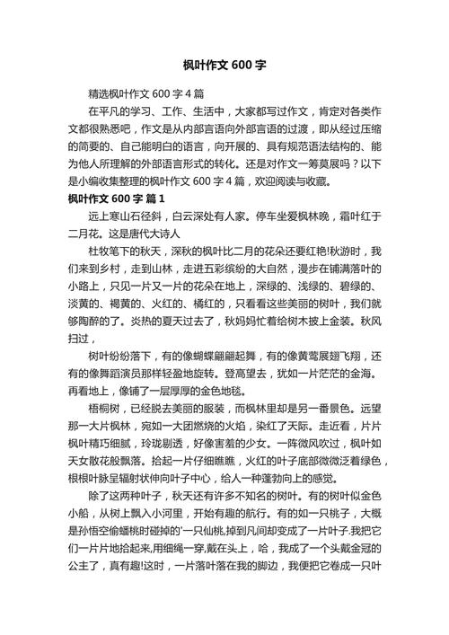 关于武汉枫叶初中的作文