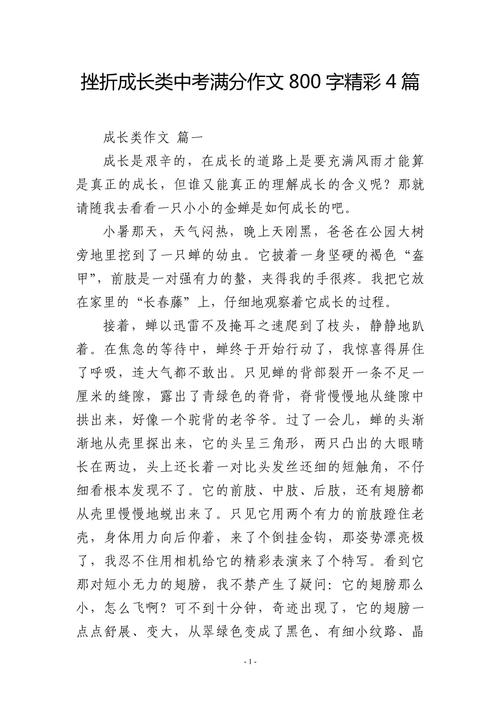 成长离不开挫 初中作文