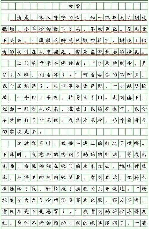 小学生作文400字大全