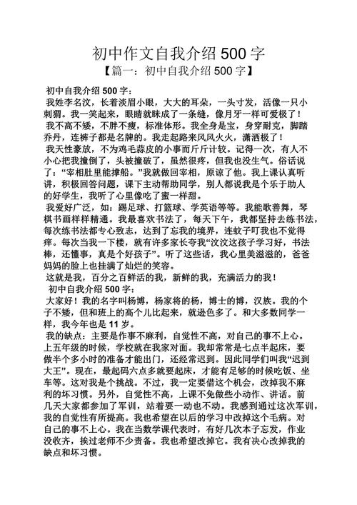 初中作文亮500字作文