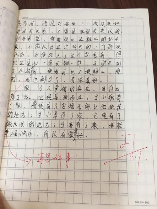 有家真好初中作文300