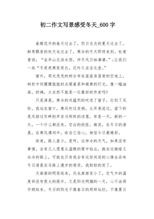 北方的冬天600字初中