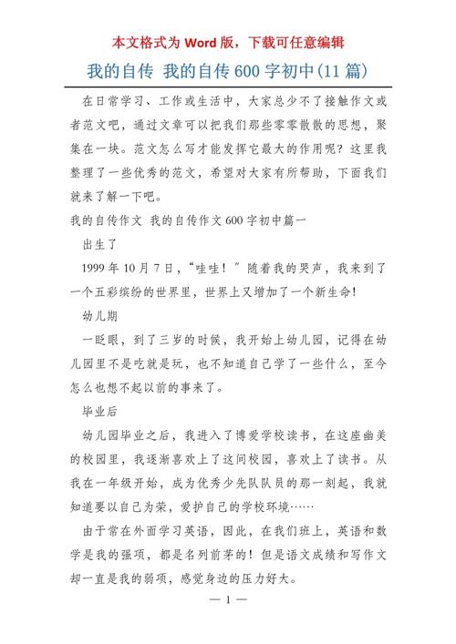 我的自传作文初中700