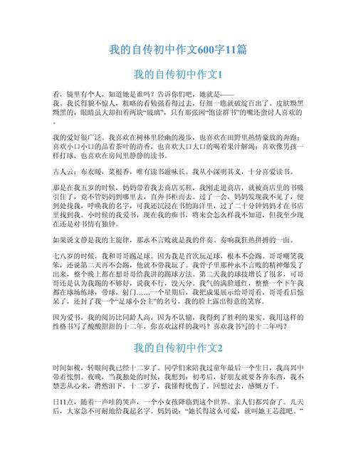 我的自传作文初中700