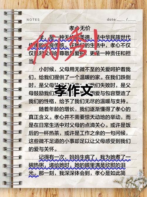 孝心无价阅读题答案初中