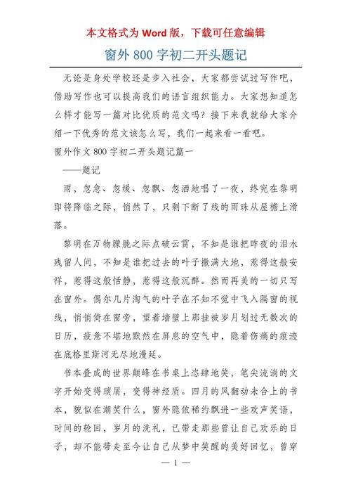 初中作文800字有题记