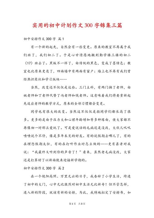 我的初中规划作文300