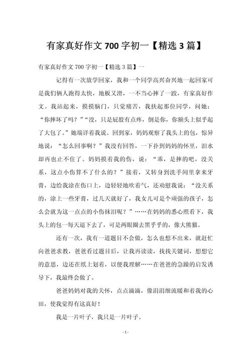 家有喜事作文初中800