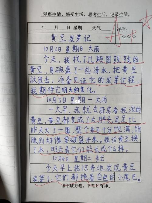 小学四年级日记100字