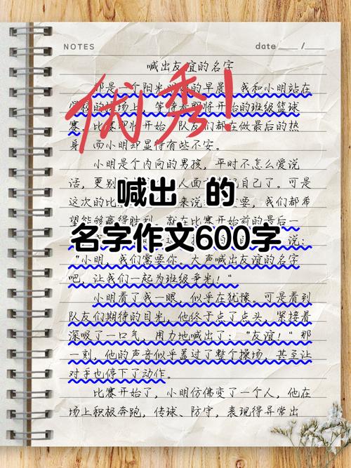 名字的故事600字初中