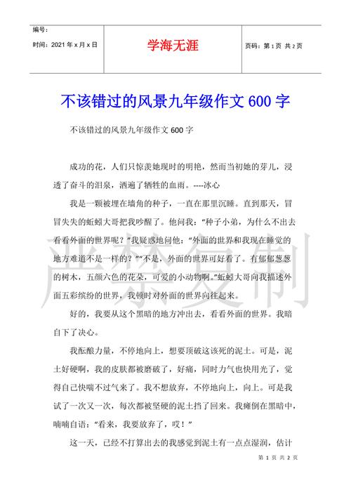 不错过600字初中作文