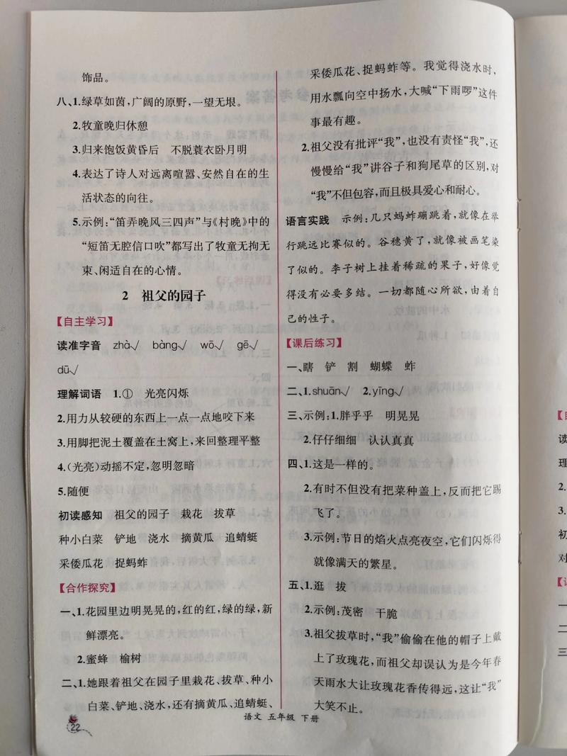 小学五年级下册语文辅导