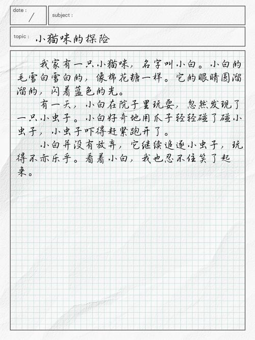 小学二年级100字作文